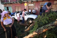 Jueves 7 de agosto del 2014. San Cristóbal de las Casas. El tornado F-0 (cero) del día de ayer presentó ráfagas de viento con más de 70 kilómetros por hora según autoridades de CONAGUA y se han contabilizado más de 400 viviendas afectadas, 40 árboles derr