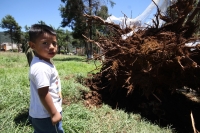 Jueves 7 de agosto del 2014. San Cristóbal de las Casas. El tornado F-0 (cero) del día de ayer presentó ráfagas de viento con más de 70 kilómetros por hora según autoridades de CONAGUA y se han contabilizado más de 400 viviendas afectadas, 40 árboles derr