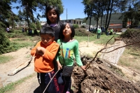 Jueves 7 de agosto del 2014. San Cristóbal de las Casas. El tornado F-0 (cero) del día de ayer presentó ráfagas de viento con más de 70 kilómetros por hora según autoridades de CONAGUA y se han contabilizado más de 400 viviendas afectadas, 40 árboles derr