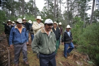 Jueves 10 de febrero. Ejidatarios de la comunidad San Bartolomé de las Casas continúan con el Aprovechamiento Forestal de la región con la explotación de arboles forestales en la zona altos de Chiapas. Estos programas son aplicados bajo la supervisión de 
