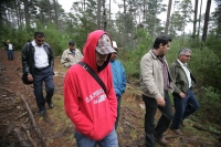 Jueves 10 de febrero. Ejidatarios de la comunidad San Bartolomé de las Casas continúan con el Aprovechamiento Forestal de la región con la explotación de arboles forestales en la zona altos de Chiapas. Estos programas son aplicados bajo la supervisión de 