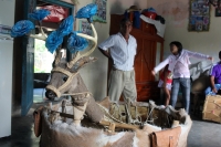 Domingo 31 de mayo del 2015. Suchiapa. El Ensayo. El ejercicio de las costumbre ancestrales de los pueblos de la depresión central del estado de Chiapas se transmite de generación en generación y de forma de practica oral donde los jóvenes aprenden de los