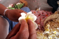 Miércoles 4 de mayo. Tradicionalistas zoques realizan la ensarta de la Flor de Mayo en la ermita del Cerrito en el poniente de Tuxtla Gutiérrez durante las celebraciones del día 3 y 4 donde la cofradía de la etnia zoque realiza varias procesiones en honor