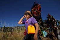 Viernes 20 de diciembre del 2013. Acala. Los Floreros de Chiapa de Corzo llegan esta mañana a El Rodeo donde pernoctaran antes de regresar a la colonial ciudad de la ribera con los atados de flor de Nilurayilo sobre las espaldas y después de recorrer algu