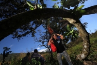 Viernes 20 de diciembre del 2013. Acala. Los Floreros de Chiapa de Corzo llegan esta mañana a El Rodeo donde pernoctaran antes de regresar a la colonial ciudad de la ribera con los atados de flor de Nilurayilo sobre las espaldas y después de recorrer algu