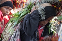 Lunes 21 de diciembre del 2015. Chiapa de Corzo. Los cientos de Floreros llegan esta madrugada a las cercanías de la comunidad de la ribera del Grijalva sucios y cansados después de permanecer durante 8 días en las montañas de Los altos de Chiapas donde r