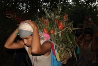 Lunes 21 de diciembre del 2015. Chiapa de Corzo. Los cientos de Floreros llegan esta madrugada a las cercanías de la comunidad de la ribera del Grijalva sucios y cansados después de permanecer durante 8 días en las montañas de Los altos de Chiapas donde r