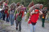 Lunes 21 de diciembre del 2015. Chiapa de Corzo. Los cientos de Floreros llegan esta madrugada a las cercanías de la comunidad de la ribera del Grijalva sucios y cansados después de permanecer durante 8 días en las montañas de Los altos de Chiapas donde r