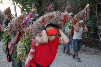 Lunes 21 de diciembre del 2015. Chiapa de Corzo. Los cientos de Floreros llegan esta madrugada a las cercanías de la comunidad de la ribera del Grijalva sucios y cansados después de permanecer durante 8 días en las montañas de Los altos de Chiapas donde r