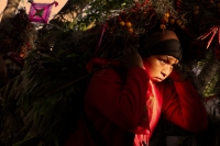 Lunes 21 de diciembre del 2015. Chiapa de Corzo. Los cientos de Floreros llegan esta madrugada a las cercanÃas de la comunidad de la ribera del Grijalva sucios y cansados después de permanecer durante 8 dÃas en las montañas de Los altos de Chiapas donde r Lunes 21 de diciembre del 2015. Chiapa de Corzo. Los cientos de Floreros llegan esta madrugada a las cercanÃas de la comunidad de la ribera del Grijalva sucios y cansados después de permanecer durante 8 dÃas en las montañas de Los altos de Chiapas donde r
