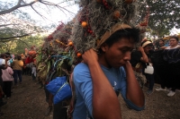 Miércoles 21 de diciembre del 2016. Chiapa de Corzo. La Topada de la Flor. Los jóvenes floreros llegan a Chiapa de Corzo después de caminar por cientos de kilómetros hacia las comunidades de Los Altos de Chiapas y de recolectar manojos o amarres del tubér
