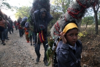 Miércoles 21 de diciembre del 2016. Chiapa de Corzo. La Topada de la Flor. Los jóvenes floreros llegan a Chiapa de Corzo después de caminar por cientos de kilómetros hacia las comunidades de Los Altos de Chiapas y de recolectar manojos o amarres del tubér