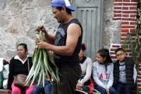 Martes 18 de diciembre del 2018. Zinacantan. Los tuberculos de la flor de Niluyarilo es recoelctada por jóvenes provenientes de la comunidad de Chiapa de Corzo en las comunidades de Los altos de Chiapas recorriendo varios kilómetros a pie. La planta que Martes 18 de diciembre del 2018. Zinacantan. Los tuberculos de la flor de Niluyarilo es recoelctada por jóvenes provenientes de la comunidad de Chiapa de Corzo en las comunidades de Los altos de Chiapas recorriendo varios kilómetros a pie. La planta que