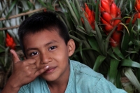 Martes 18 de diciembre del 2018. Zinacantan. Los tuberculos de la flor de Niluyarilo es recoelctada por jóvenes provenientes de la comunidad de Chiapa de Corzo en las comunidades de Los altos de Chiapas recorriendo varios kilómetros a pie. La planta que