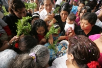 Martes 14 de diciembre. Chiapa de Corzo. Los jóvenes floreros salen esta tarde de la ciudad de Chiapa de Corzo en una caminata hacia la región Altos de Chiapas para realizar la recolección tradicional de la flor de Niluyarilu. Esta caminata dura 6 días en