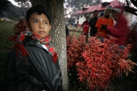 Viernes 17 de diciembre. Durante el tercer día del recorrido de la Topada de la Flor, los jóvenes floreros acomodan los bultos para emprender el camino de regreso a Chiapa de Corzo y de las comunidades que hacen la recolecta en los altos de Chiapas. Los g