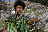Miércoles 16 de diciembre del 2015. San Cristóbal de las Casas. Jóvenes originarios de las comunidades del municipio de Chiapa de Corzo recorren durante varios días las montañas de la región de Los Altos del estado de Chiapas recolectando las bromelias qu
