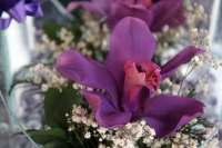Miércoles 10 de mayo del 2017. Tuxtla Gutiérrez. Las flores chiapanecas siguen siendo uno de los regalos preferidos en las celebraciones familiares en México. Los mercados populares venden los arreglos florales a precios económicos al ser las flores produ