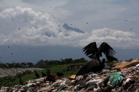 Julio del 2014. Tapachula, Chiapas. Niños, centroamericanos e indigentes pepenadores en el basurero municipal de esta ciudad de la frontera sur de México.