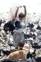 Julio del 2014. Tapachula, Chiapas. Niños, centroamericanos e indigentes pepenadores en el basurero municipal de esta ciudad de la frontera sur de México.