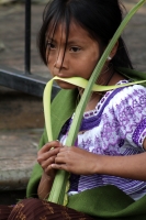 Domingo 29 de marzo del 2015. Tuxtla Gutiérrez, Cada año disminuye el número de las familias artesanas que continúan  elaborando las palmas en los atrios de las iglesias de la capital del estado de Chiapas.
