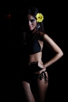 Sábado 28 de abril del 2012. Las participantes del concurso de belleza Miss Hearth Chiapas, presentan la etapa en traje de baño esta noche en conocido centro nocturno del poniente de la ciudad.