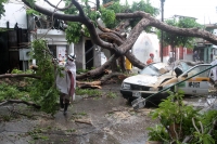 Miércoles 22 de julio del 2020. Tuxtla Gutiérrez. Durante la fuerte lluvia de esta tarde, las calles de la ciudad sufren encharcamientos y hay varios árboles colapsados