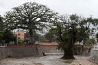 Martes 22 de junio del 2020. Tuxtla Gutiérrez. Los niveles del rio Sabinal en la 6 oriente norte