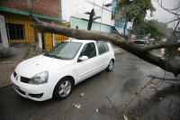 Las primeras lluvias en la ciudad de Tuxtla Gutiérrez dejan varios árboles caídos algunas calles con encharcamientos en el oriente de la capital de Chiapas sin que se reporten daños de consideración.