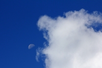 Lunes 21 de abril del 2014. San Cristóbal de las Casas. La luna de abril.