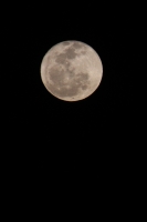 Luna llena del 9 de enero del 2012.