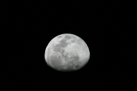 Aspecto de la luna en este 14 de febrero.