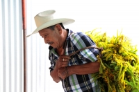 Miércoles 24 de julio del 2019. Suchiapa.  Las ofrendas de flores tradicionales durante los festejos de Santa Ana.
