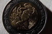 Miércoles 29 de julio del 2015. Tuxtla Gutiérrez. El valor de la moneda mexicana disminuye continuamente