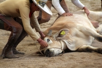 Domingo 23 de octubre del 2016. Tuxtla Gutiérrez. Campeonato Nacional Charro 2016. Con la participación de los equipos de Tuxtla, Villahermosa y Pachuca inicia la jornada dominical dentro del Campeonato Nacional Charro