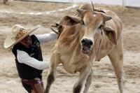 Domingo 23 de octubre del 2016. Tuxtla Gutiérrez. Campeonato Nacional Charro 2016. Con la participación de los equipos de Tuxtla, Villahermosa y Pachuca inicia la jornada dominical dentro del Campeonato Nacional Charro