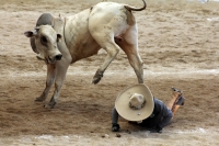 Domingo 23 de octubre del 2016. Tuxtla Gutiérrez. Campeonato Nacional Charro 2016. Con la participación de los equipos de Tuxtla, Villahermosa y Pachuca inicia la jornada dominical dentro del Campeonato Nacional Charro