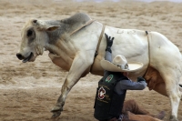 Domingo 23 de octubre del 2016. Tuxtla Gutiérrez. Campeonato Nacional Charro 2016. Con la participación de los equipos de Tuxtla, Villahermosa y Pachuca inicia la jornada dominical dentro del Campeonato Nacional Charro