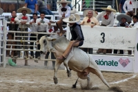 Domingo 23 de octubre del 2016. Tuxtla Gutiérrez. Campeonato Nacional Charro 2016. Con la participación de los equipos de Tuxtla, Villahermosa y Pachuca inicia la jornada dominical dentro del Campeonato Nacional Charro Domingo 23 de octubre del 2016. Tuxtla Gutiérrez. Campeonato Nacional Charro 2016. Con la participación de los equipos de Tuxtla, Villahermosa y Pachuca inicia la jornada dominical dentro del Campeonato Nacional Charro