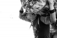 Domingo 17 de diciembre del 2017. Zinacantan. Los jóvenes de la comunidad de Chiapa de Corzo viajan varios kilómetros a pie durante esta semana  para recolectar los tubérculos de las flores de Niluyarilo. La Topada de la Flor es conocida como el inicio