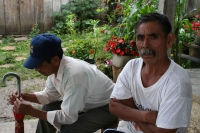 Foto/Meridiano90. Teopisca. Aspectos de las afectaciones de la lluvia en el ejido Nuevo México donde los indígenas campesinos sufren de pérdidas económicas.
