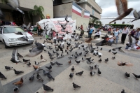 Lunes 25 de noviembre del 2013. Tuxtla Gutiérrez. Poco a poco el primer cuadro de la ciudad regresa a la normalidad, siendo los paisajes provincianos los que sobresalen dentro de las calles de la capital de Chiapas.