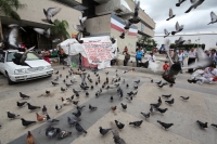 Lunes 25 de noviembre del 2013. Tuxtla Gutiérrez. Poco a poco el primer cuadro de la ciudad regresa a la normalidad, siendo los paisajes provincianos los que sobresalen dentro de las calles de la capital de Chiapas. Lunes 25 de noviembre del 2013. Tuxtla Gutiérrez. Poco a poco el primer cuadro de la ciudad regresa a la normalidad, siendo los paisajes provincianos los que sobresalen dentro de las calles de la capital de Chiapas.