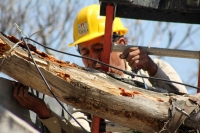 Viernes 24 de febrero del 2017. Tuxtla Gutiérrez. Personal de Protección Civil municipal realizan la instalación eléctrica para realización del Carnaval Tuxtleco