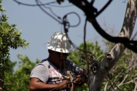 Viernes 24 de febrero del 2017. Tuxtla Gutiérrez. Personal de Protección Civil municipal realizan la instalación eléctrica para realización del Carnaval Tuxtleco