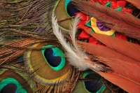 Jueves 23 de febrero del 2017. El penacho de la danza de la pluma de guacamaya. La elaboración del atuendo de los danzantes de la danza de la pluma de guacamaya o carnaval es elaborado siguiendo la ritualidad que es conservada y transmitida a las nuevas g
