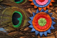 Jueves 23 de febrero del 2017. El penacho de la danza de la pluma de guacamaya. La elaboración del atuendo de los danzantes de la danza de la pluma de guacamaya o carnaval es elaborado siguiendo la ritualidad que es conservada y transmitida a las nuevas g