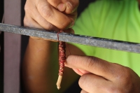 Jueves 23 de febrero del 2017. El penacho de la danza de la pluma de guacamaya. La elaboración del atuendo de los danzantes de la danza de la pluma de guacamaya o carnaval es elaborado siguiendo la ritualidad que es conservada y transmitida a las nuevas g