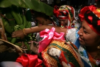 Miércoles 2 de febrero. Las celebraciones del día de la Virgen de Candelaria se celebran con danzas tradicionales donde los pertenecientes a la Cofradía de la Etnia Zoque presentan las danzas de la Casita y la Robadera en el atrio de la iglesia de este lu