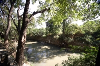 Martes 30 de noviembre. La cuenca del Sabinal. Aspectos del río Sabinal en el lado oriente de la ciudad de Tuxtla Gutiérrez.